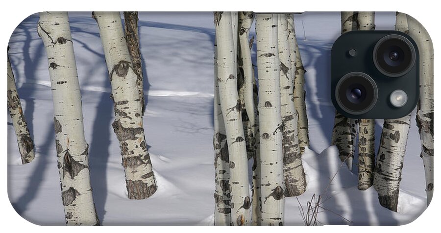 Snow iPhone Case featuring the photograph Winter, bare aspens in snow #1 by Steve Estvanik