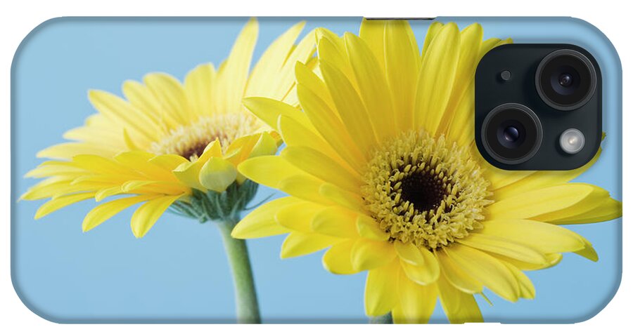 Two Objects iPhone Case featuring the photograph Yellow Flowers On Blue Background #1 by Kristin Lee