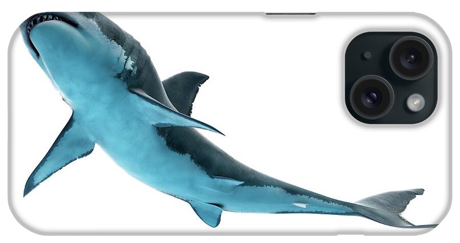 Shark iPhone Case featuring the photograph Great White Shark #10 by Sebastian Kaulitzki/science Photo Library