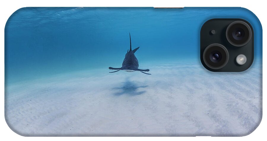 Animal iPhone Case featuring the digital art Great Hammerhead Shark Swimming Near Seabed #11 by Ken Kiefer 2
