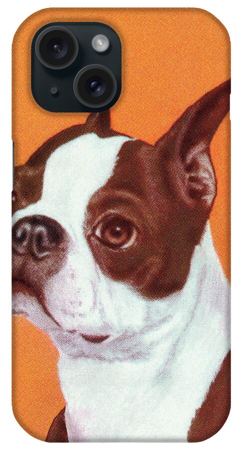 Animal iPhone Case featuring the drawing Boston Terrier #12 by CSA Images