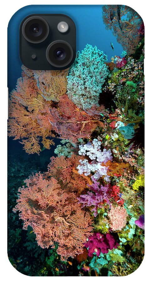 Goraici Islands iPhone Case featuring the photograph Reef Scene In Halmahera, Indonesia #13 by Bruce Shafer