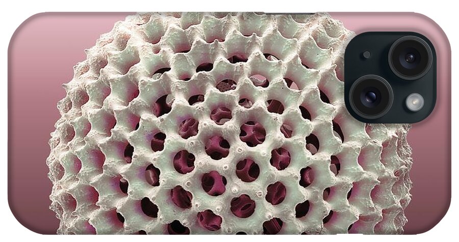 Biological iPhone Case featuring the photograph Radiolarian #19 by Steve Gschmeissner/science Photo Library