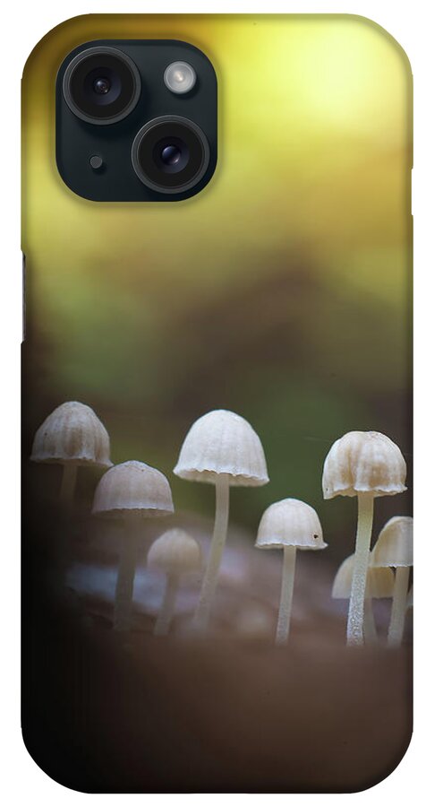 Male iPhone Case featuring the photograph A Mushroom Group In Nature #2 by Cavan Images