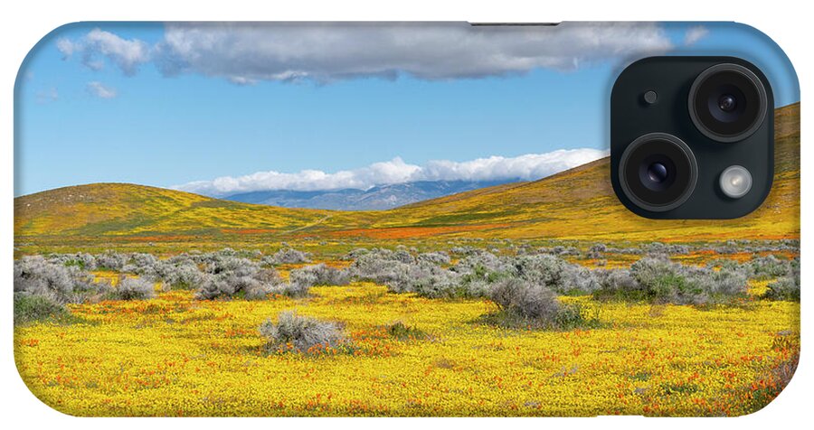 Jeff Foott iPhone Case featuring the photograph Antelope Valley Super Bloom #2 by Jeff Foott