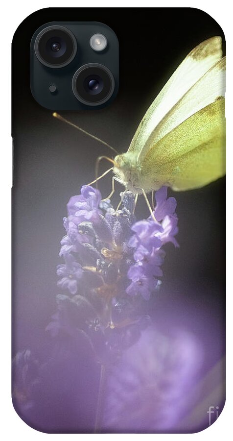 Macro iPhone Case featuring the photograph Butterfly #2 by Mariusz Talarek