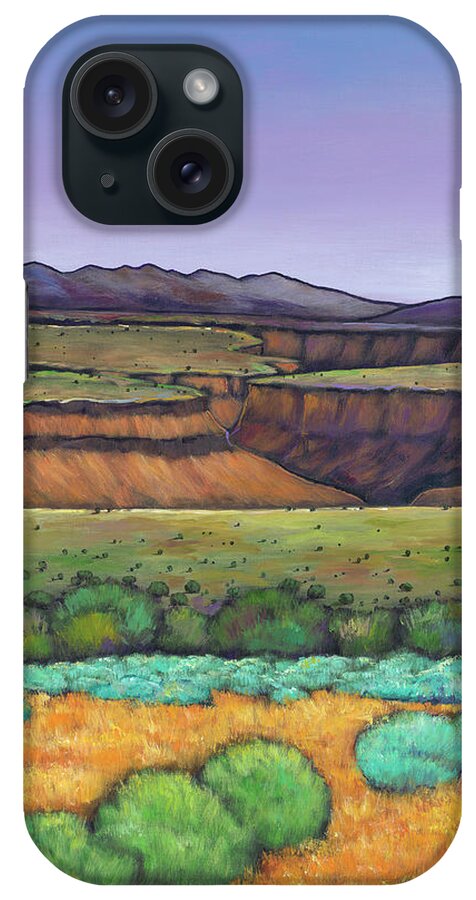 New Mexico iPhone Case featuring the painting Desert Gorge #2 by Johnathan Harris