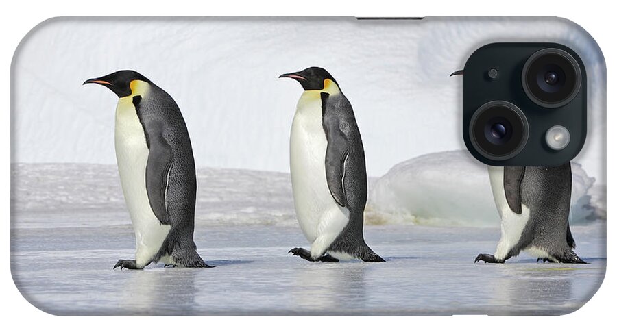 Following iPhone Case featuring the photograph Emperor Penguin #2 by Sylvain Cordier