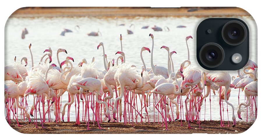 Kenya iPhone Case featuring the photograph Flamingos Near Bogoria Lake, Kenya #2 by Ivanmateev