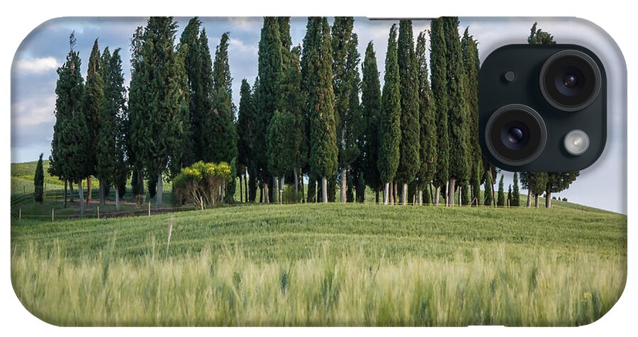 Agriculture iPhone Case featuring the photograph Group of cypress trees at dusk In Tuscan landscape #2 by Tosca Weijers