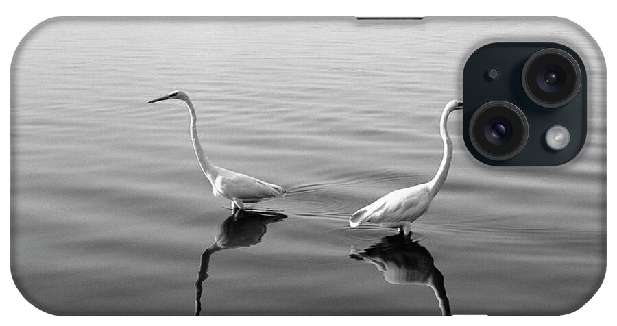 Two Herons iPhone Case featuring the photograph 2 Herons by Moises Levy