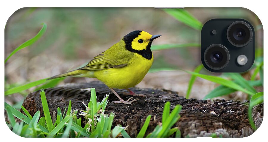 Adult iPhone Case featuring the photograph Hooded Warbler (wilsonia Citrina #2 by Larry Ditto