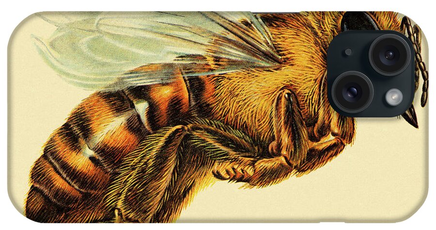 Animal iPhone Case featuring the drawing Hornet #2 by CSA Images