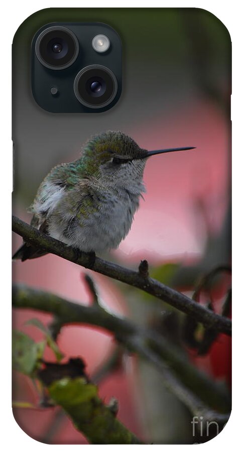 Hummingbird iPhone Case featuring the photograph Hummingbird #2 by Carol Eliassen