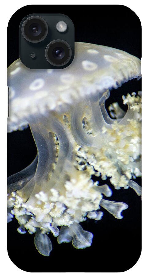 Animals iPhone Case featuring the photograph Jellyfish #2 by Don Johnson