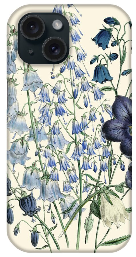Kitchen & Bath iPhone Case featuring the painting Loudon Florals Iv #2 by Jane Loudon