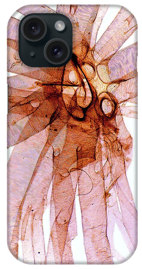 Silk Moth Caterpillar Breathing Pore #2 iPhone Case by Dr Keith  Wheeler/science Photo Library - Science Photo Gallery
