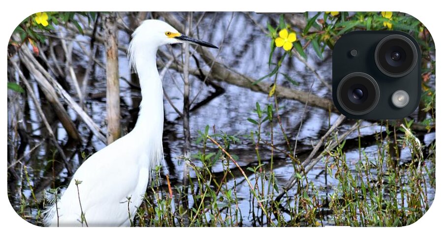 Snowy Egret iPhone Case featuring the photograph Snowy Egret  #2 by Warren Thompson