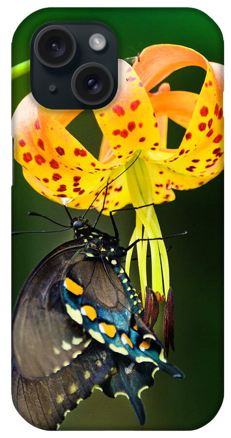 Africa iPhone Case featuring the photograph Swallowtail On Turks Cap #2 by Donald Brown