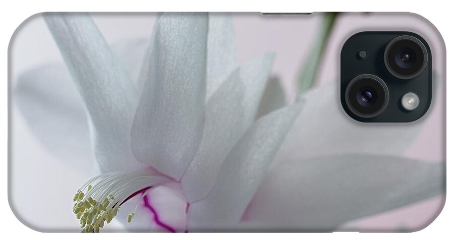 Floral iPhone Case featuring the photograph White Christmas cactus #2 by Shirley Mitchell