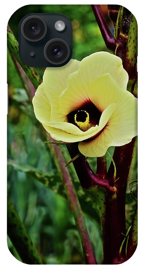 Hibiscus iPhone Case featuring the photograph 2019 August at the Gardens Hibiscus in the Herb Garden by Janis Senungetuk
