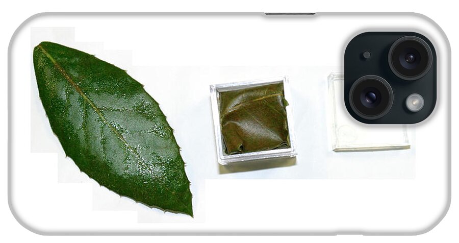 Lab iPhone Case featuring the photograph Air Pollution Monitoring Using A Leaf #3 by Michael Szoenyi/science Photo Library