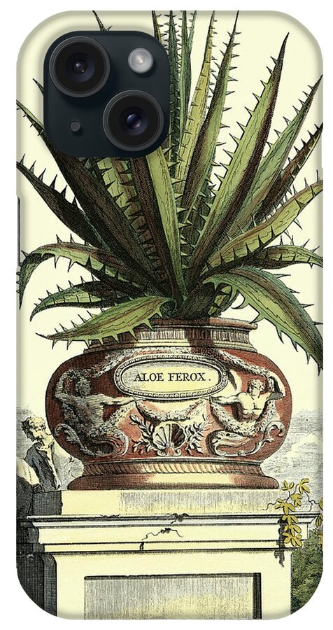 Botanical iPhone Case featuring the painting Antique Munting Aloe I #3 by Abraham Munting