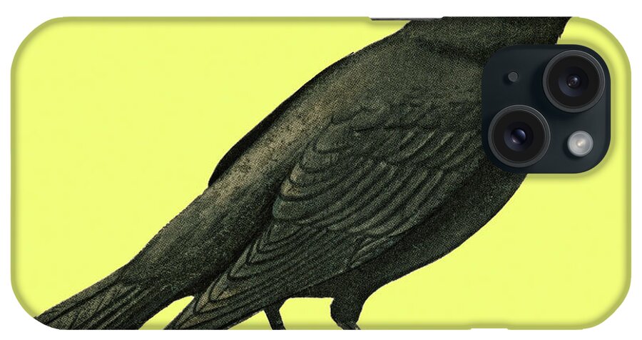 Animal iPhone Case featuring the drawing Crow #3 by CSA Images