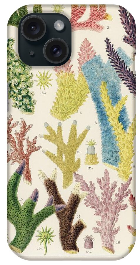 Reef iPhone Case featuring the painting Great Barrier Reef Corals from The Great Barrier Reef of Australia 1893 by William Saville-Kent 1 #3 by Celestial Images