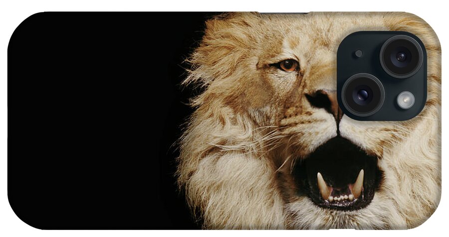 Threats iPhone Case featuring the photograph Lion Roaring #3 by Gk Hart/vicky Hart