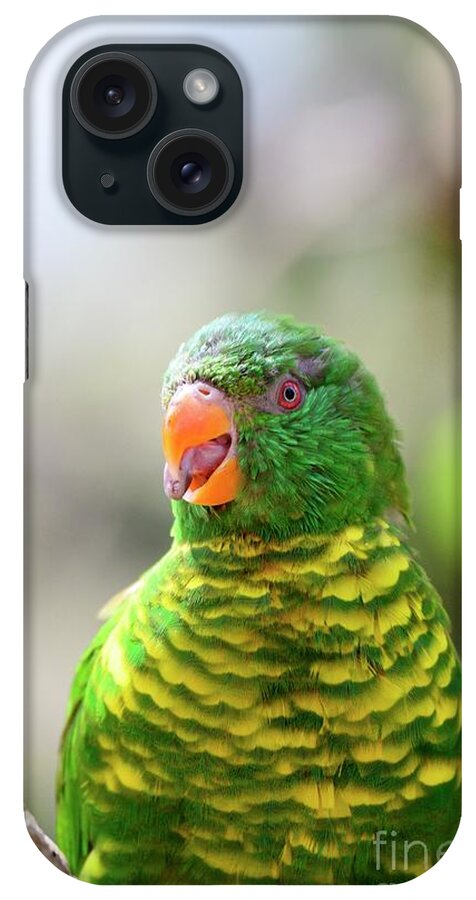 Brisbane iPhone Case featuring the photograph Scaly-breasted Lorikeet #3 by Dr P. Marazzi/science Photo Library