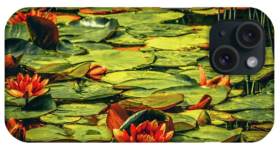 Waterlilies iPhone Case featuring the photograph Water Lilies #3 by Bonnie Bruno