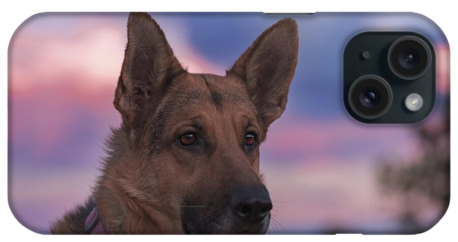 Animal iPhone Case featuring the photograph Liesl #30 by Brian Cross