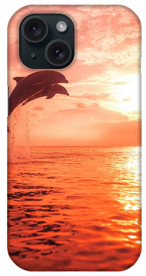 Bay Islands iPhone Case featuring the photograph Bottlenose Dolphins, Caribbean Sea #32 by Stuart Westmorland