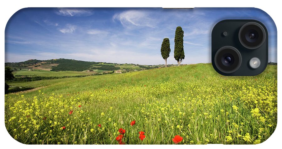 Field Of Poppies And Oil Seed With Two Cypress Trees On Brow Of Hill iPhone Case featuring the photograph 321-4490 by Robert Harding Picture Library