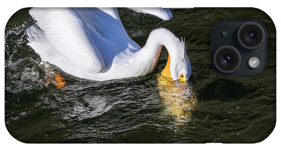 American White Pelican iPhone Case featuring the photograph American White Pelican Fishing #4 by Ivan Kuzmin