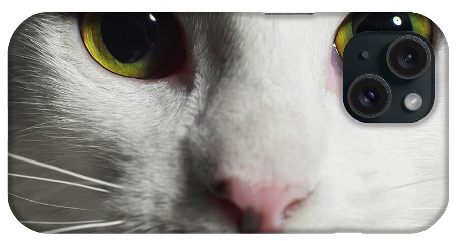 Pets iPhone Case featuring the photograph Cat #4 by Ryan Mcvay