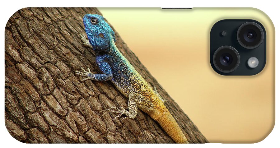  iPhone Case featuring the photograph 4 by Eric Pengelly