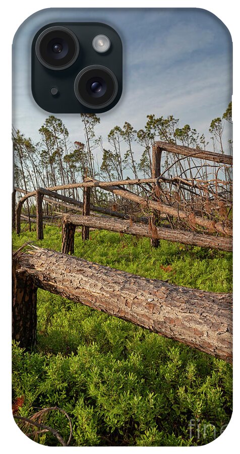 2018 iPhone Case featuring the photograph Hurricane Michael Aftermath #4 by Jim West/science Photo Library