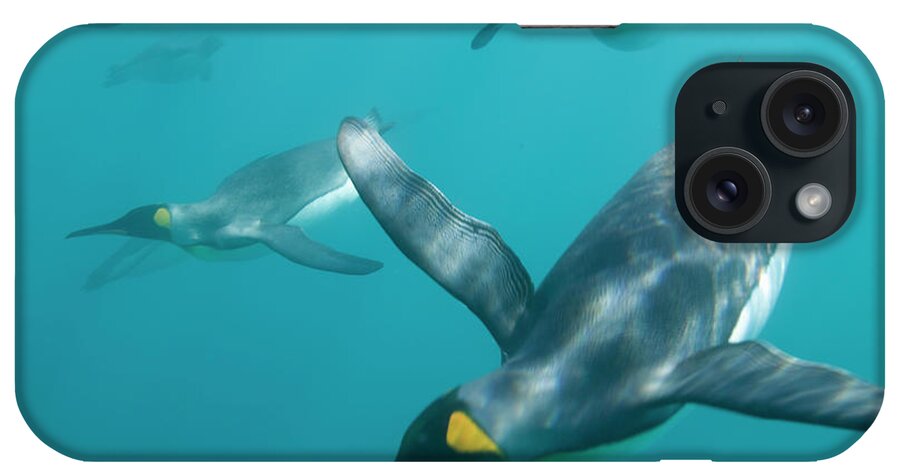 Underwater iPhone Case featuring the photograph King Penguins Aptenodytes Patagonicus #4 by Paul Souders