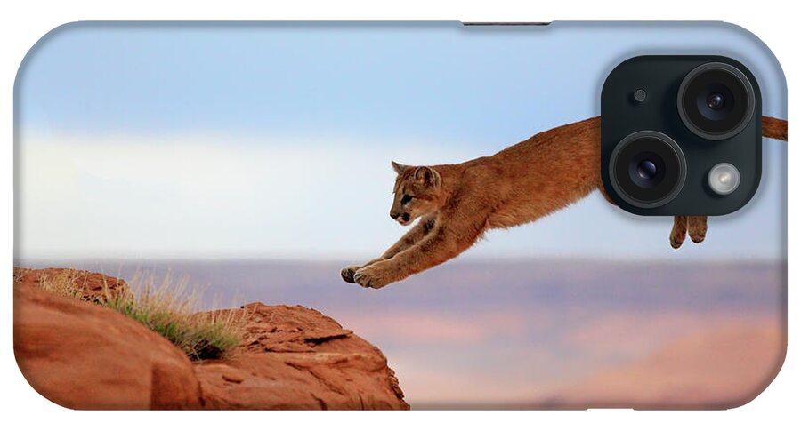Scenics iPhone Case featuring the photograph Mountain Lion #4 by Tier Und Naturfotografie J Und C Sohns