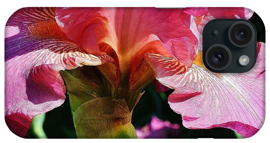 Flora iPhone Case featuring the photograph Pink Beauty #5 by Bruce Bley