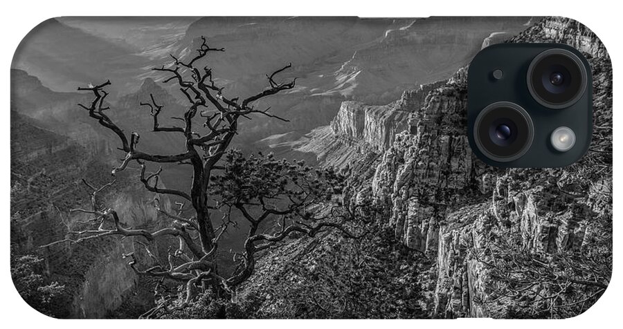 Disk1216 iPhone Case featuring the photograph South Rim, Grand Canyon #4 by Tim Fitzharris