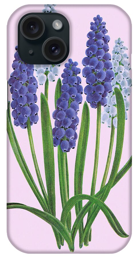 Bloom iPhone Case featuring the drawing Flowers #48 by CSA Images