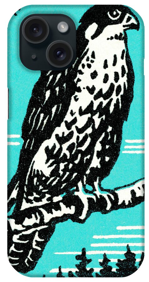 Animal iPhone Case featuring the drawing Falcon #5 by CSA Images