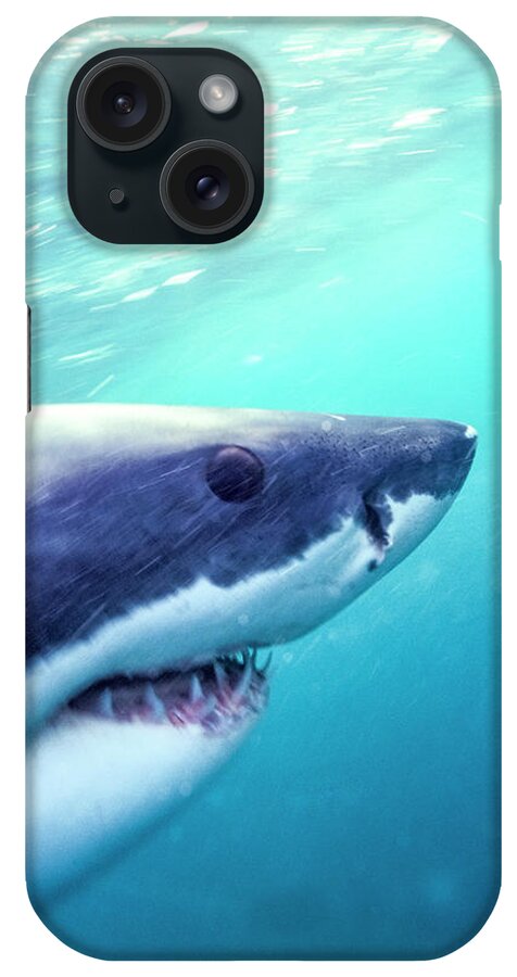 Africa iPhone Case featuring the photograph Great White Shark, South Africa #5 by Stuart Westmorland