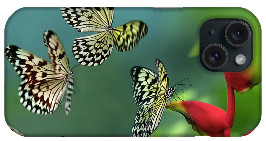 00581359 iPhone Case featuring the photograph Paper Kite Butterflies Flying, Philippines #5 by Tim Fitzharris