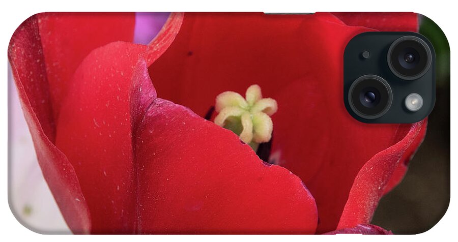 Flower iPhone Case featuring the photograph Red #5 by Masami IIDA