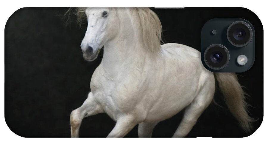 Horse iPhone Case featuring the photograph White Horse Galloping #5 by Christiana Stawski