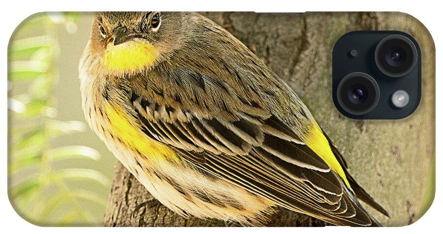 Bird iPhone Case featuring the photograph Yellow-rumped Warbler #5 by Dennis Hammer